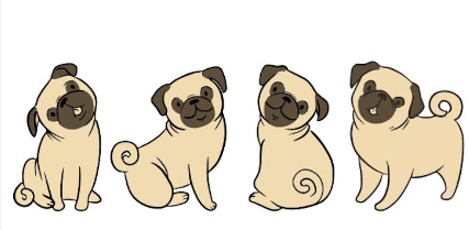 Art:-Pafzcjhogi= How to Draw a Pug