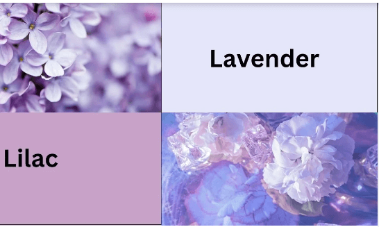 Color:8dnohhkklmu= Lilac