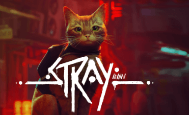 Cat:3i6vpctwi-E= Stray