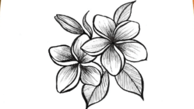 Drawing:Fl2f4jlbwv4= Easy:3epqjdq937o= Flower