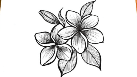 Drawing:Fl2f4jlbwv4= Easy:3epqjdq937o= Flower