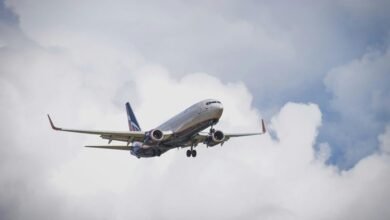 sector dynamics overview report