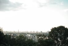 digital marketing edge unleashed